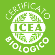 logo icea